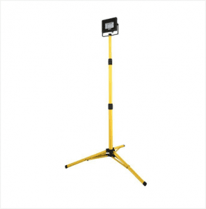 extendable light